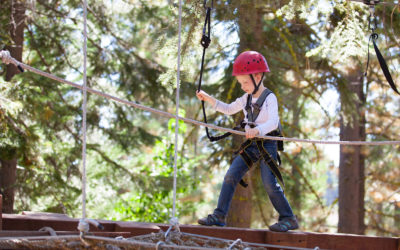 Estate in Valtellina con bambini e adolescenti: l’aereobosco Fly Emotion